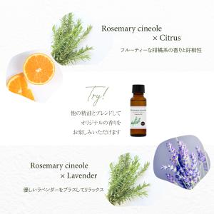 ローズマリー シネオール 30ml 精油 エッ...の詳細画像4