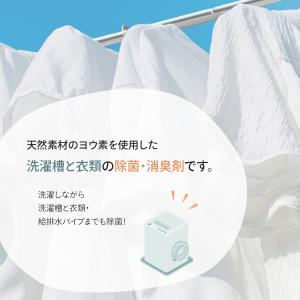 ヨウ素 ヨード 洗濯 ヨウ素デクリーン ランド...の詳細画像2