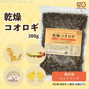 【賞味期限間近(2025/5/30)特価販売】...の詳細画像1