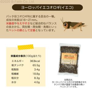 【賞味期限間近(2025/5/30)特価販売】...の詳細画像2