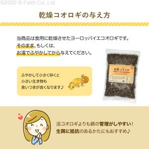 【賞味期限間近(2025/5/30)特価販売】...の詳細画像3