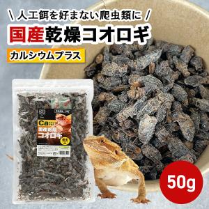 乾燥コオロギ 爬虫類用 50g 国産 カルシウムプラス フタボシコオロギ 栄養 爬虫類 両生類ドライフード 炭酸カルシウム　日本製
