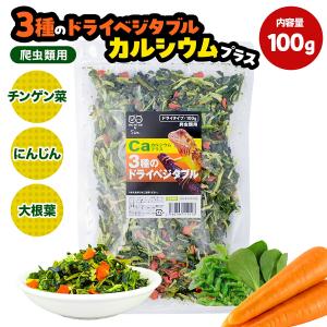 爬虫類用 3種のドライベジタブル カルシウムプラス 100g 爬虫類 野菜 フトアゴ リクガメ トカゲ イグアナ フード 草食