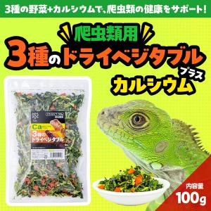 爬虫類用 3種のドライベジタブル カルシウムプ...の詳細画像1