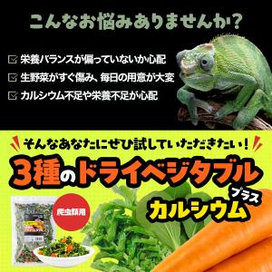 爬虫類用 3種のドライベジタブル カルシウムプ...の詳細画像2