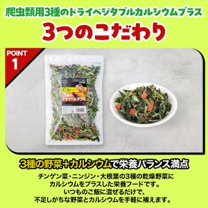 爬虫類用 3種のドライベジタブル カルシウムプ...の詳細画像3