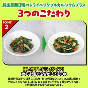 爬虫類用 3種のドライベジタブル カルシウムプ...の詳細画像4