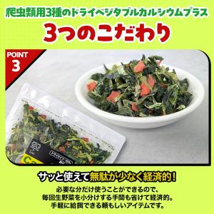 爬虫類用 3種のドライベジタブル カルシウムプ...の詳細画像5