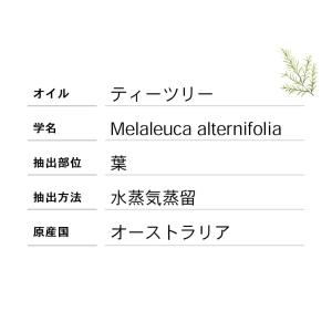 ティーツリー 精油 5ml アロマ アロマオイ...の詳細画像2