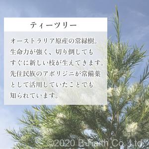 ティーツリー 精油 5ml アロマ アロマオイ...の詳細画像3