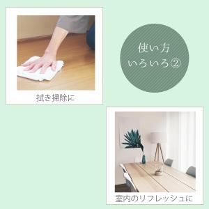 ティーツリー 精油 5ml アロマ アロマオイ...の詳細画像5