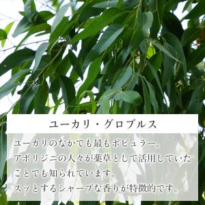 ユーカリ グロブルス 精油 20ml アロマ ...の詳細画像2
