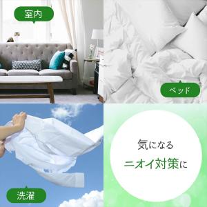 ユーカリ グロブルス 精油 20ml アロマ ...の詳細画像4