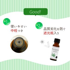 ユーカリ グロブルス 精油 20ml アロマ ...の詳細画像5