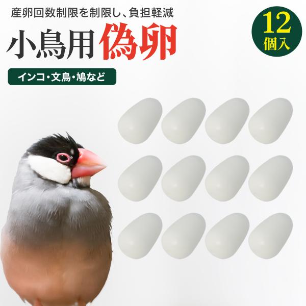 偽卵 擬卵 ギラン 12個入り 約 20mm x 13mm プラスチック 小鳥 インコ 鳩 文鳥 す...