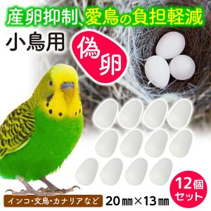 偽卵 擬卵 ギラン 12個入り 約 20mm ...の詳細画像1