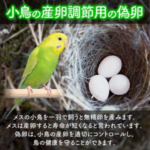 偽卵 擬卵 ギラン 12個入り 約 20mm ...の詳細画像2