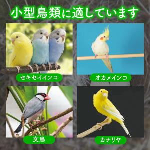 偽卵 擬卵 ギラン 12個入り 約 20mm ...の詳細画像3