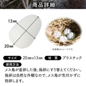 偽卵 擬卵 ギラン 12個入り 約 20mm ...の詳細画像4