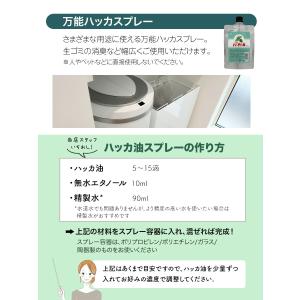 Sin 天然 ハッカ油 100ml 詰め替え ...の詳細画像4