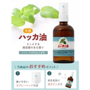 ハッカ油スプレー 100ml 天然 オイル マ...の詳細画像2