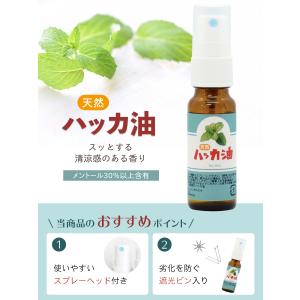 ハッカ油 20ml スプレー ×5本 天然 虫...の詳細画像2