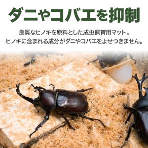 国産 ひのき マット 5L クワガタマット カ...の詳細画像3