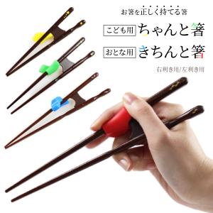 イシダ ちゃんと箸（子供用）16.5cm 18cm きちんと箸（大人用）