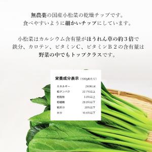 小松菜チップ 15g 鳥 小鳥 餌 野菜 えさ...の詳細画像2
