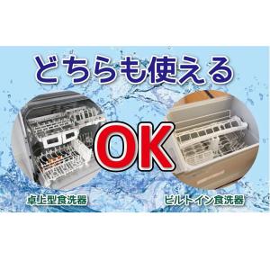 食洗機 庫内クリーナー 12回分 洗浄剤 庫内...の詳細画像3