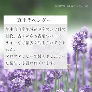 真正ラベンダー オイル 10ml 精油 アロマ...の詳細画像2