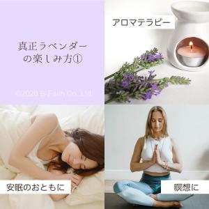 真正ラベンダー オイル 10ml 精油 アロマ...の詳細画像3