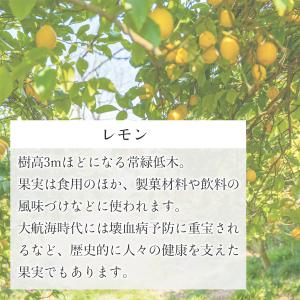 レモンオイル 30ml 精油 アロマ レモン ...の詳細画像2
