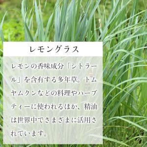 天然100% レモングラス オイル 10ml ...の詳細画像2