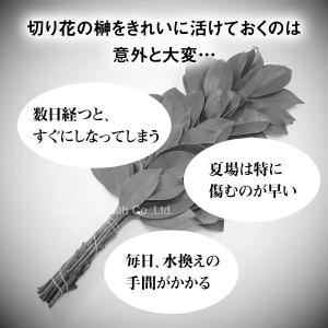 枯れない榊 二対 (4個セット) リアル品質タ...の詳細画像2