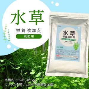 水草 栄養剤 炭酸カリウム 500g 水草栄養...の詳細画像1