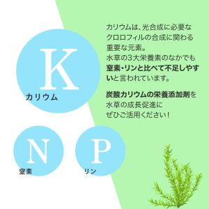 水草 栄養剤 炭酸カリウム 500g 水草栄養...の詳細画像2