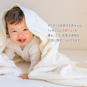 マンスリーカード ベビー 月齢フォト カード ...の詳細画像2