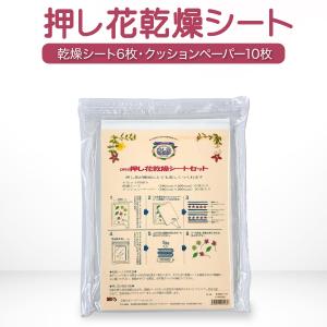 押し花 乾燥シート セット FS-106 オーアールエス 押花 押し花シート 生花 落ち葉 ドライフラワー 乾燥剤 押し花キット