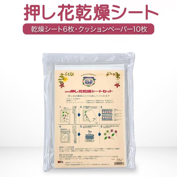 押し花 乾燥シート セット FS-106 オーアールエス 押花 押し花シート 生花 落ち葉 ドライフ...