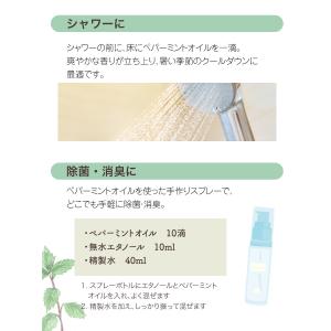天然100% ペパーミント オイル 50ml ...の詳細画像2