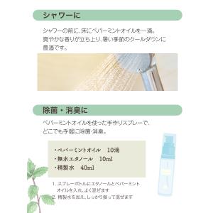 天然100% ペパーミント オイル 30ml ...の詳細画像2