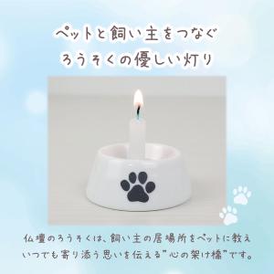 ペット 用 ろうそく 50個入 ミニ ロウソク...の詳細画像2