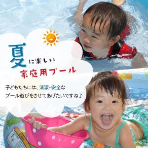 家庭用 プール除菌剤 プールきれい 5包入りプ...の詳細画像2