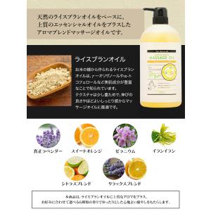 ライスブラン ブレンド マッサージオイル 10...の詳細画像2