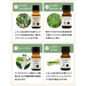 選べる 精油 3種 セット エッセンシャルオイ...の詳細画像3