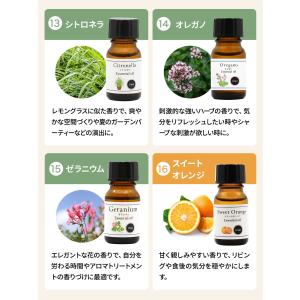 選べる 精油 3種 セット エッセンシャルオイ...の詳細画像4