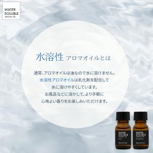【おまけ付き】水溶性アロマオイル 選べる 5本...の詳細画像2