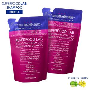 ジザニア シャンプーY　300ml  3本セット　ノンシリコン天然成分無添加 ジザニア シャンプーY 300ml シャンプー ボトル 天然 マイルド 天然