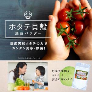 青森産 ホタテ貝殻焼成パウダー 100g×2個...の詳細画像1